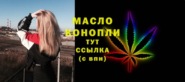 mdpv Инсар