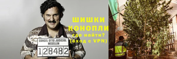 mix Инта