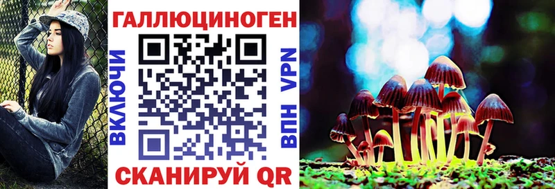 где продают Ардон Псилоцибиновые грибы прущие грибы